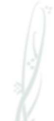 생리통