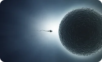 남성 난임 치료 안내
